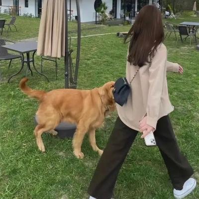 踉跄女孩